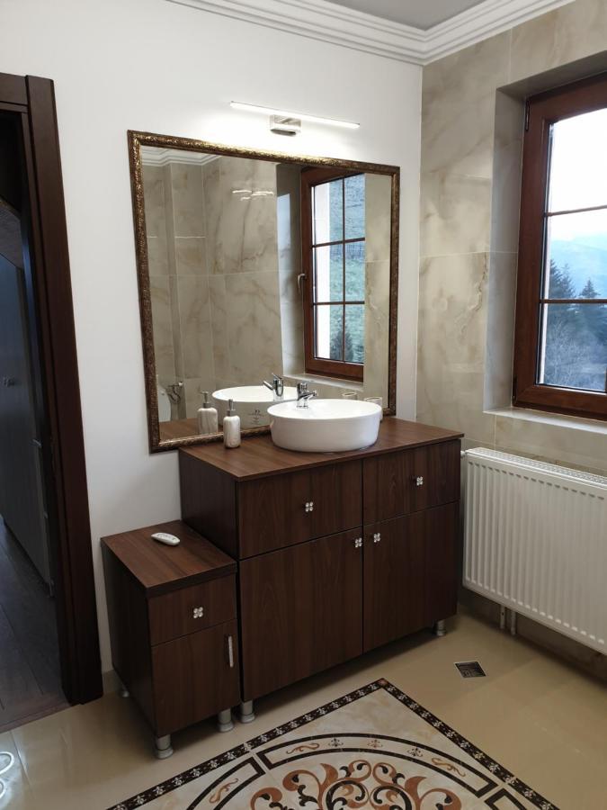 Vila Daria 3 Rucăr Extérieur photo
